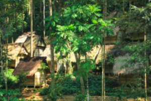 Susana Kampung Badui